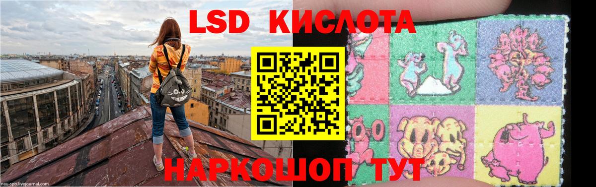 LSD-25 экстази кислота  LSD-25 экстази кислота  Вход с VPN  Саранск 
