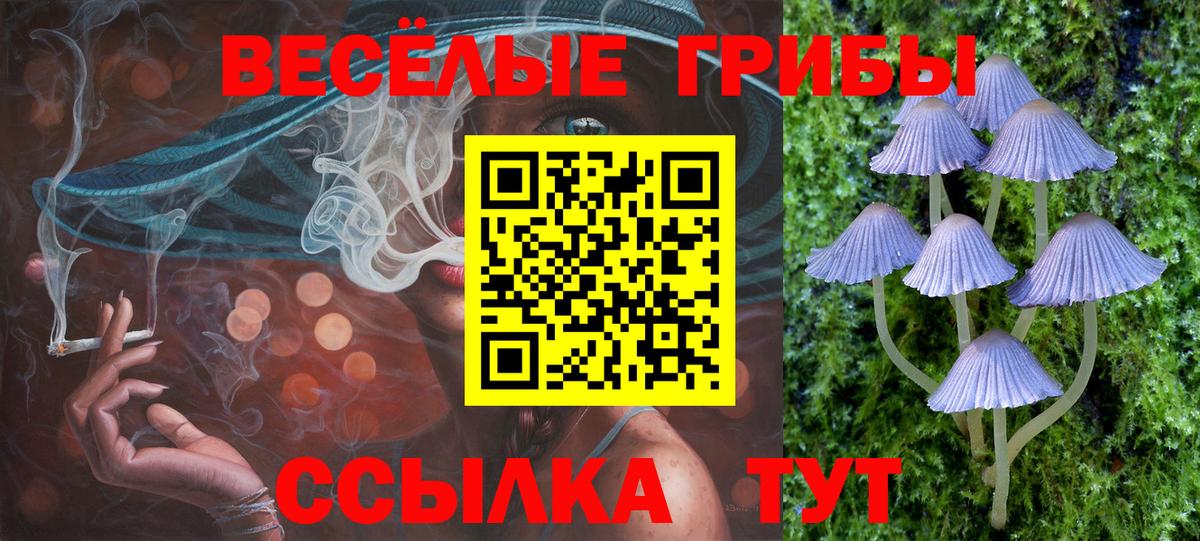 Псилоцибиновые грибы Psilocybe  Псилоцибиновые грибы MAGIC MUSHROOMS  Вход с VPN  Саранск 
